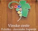 maja - vinske ceste-01
