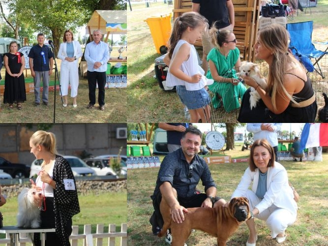 U Požegi predstavljene brojne pasmine na Specijalnoj izložbi pasa