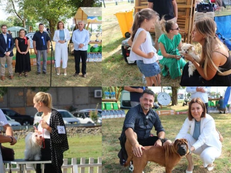 U Požegi predstavljene brojne pasmine na Specijalnoj izložbi pasa