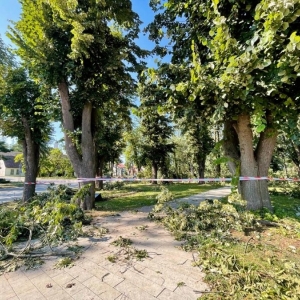 8848e9e079a87bc68318930091393f7a_2_XL