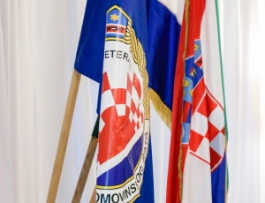 PSZ013