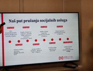 PSZ013