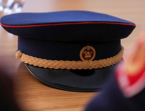 PSZ015