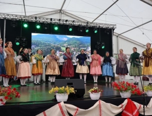 IMG_8972-–-kopija