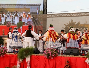 PSZ071