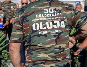 PSZ0010