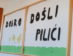 PSZ0027