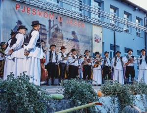 PSZ0051