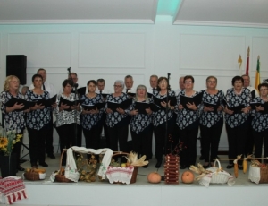 ab23325bbf75d8848d244a754ec93743_XL