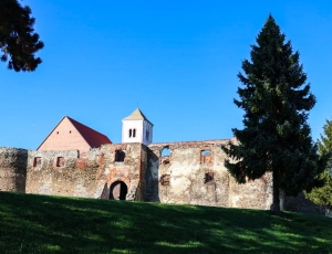 WhatsApp Image 2025-11-25 at 13.47.50