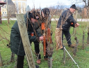 1d5ee042b6422712caf179c4f2f68f70_XL