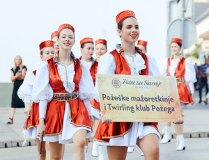 žice001