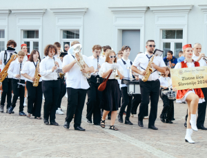 žice003