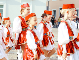 žice005