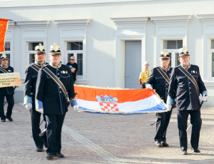 žice006