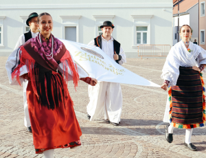 žice010