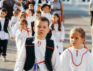 žice015