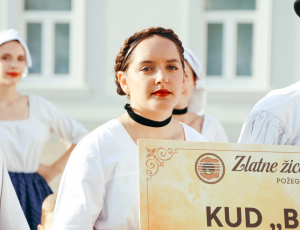 žice018