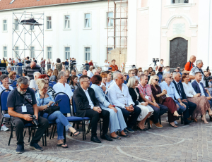 žice038