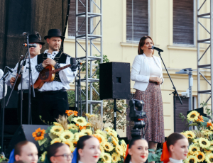 žice044