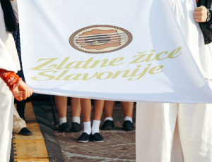 žice047