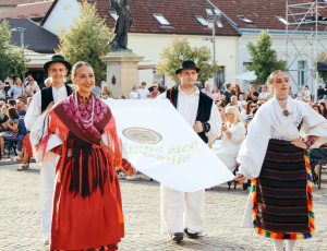 žice049