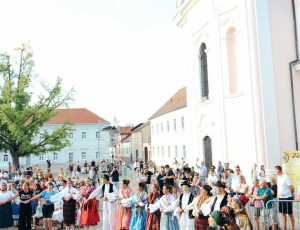 žice053