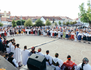 žice054