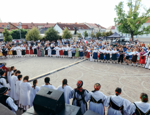 žice052