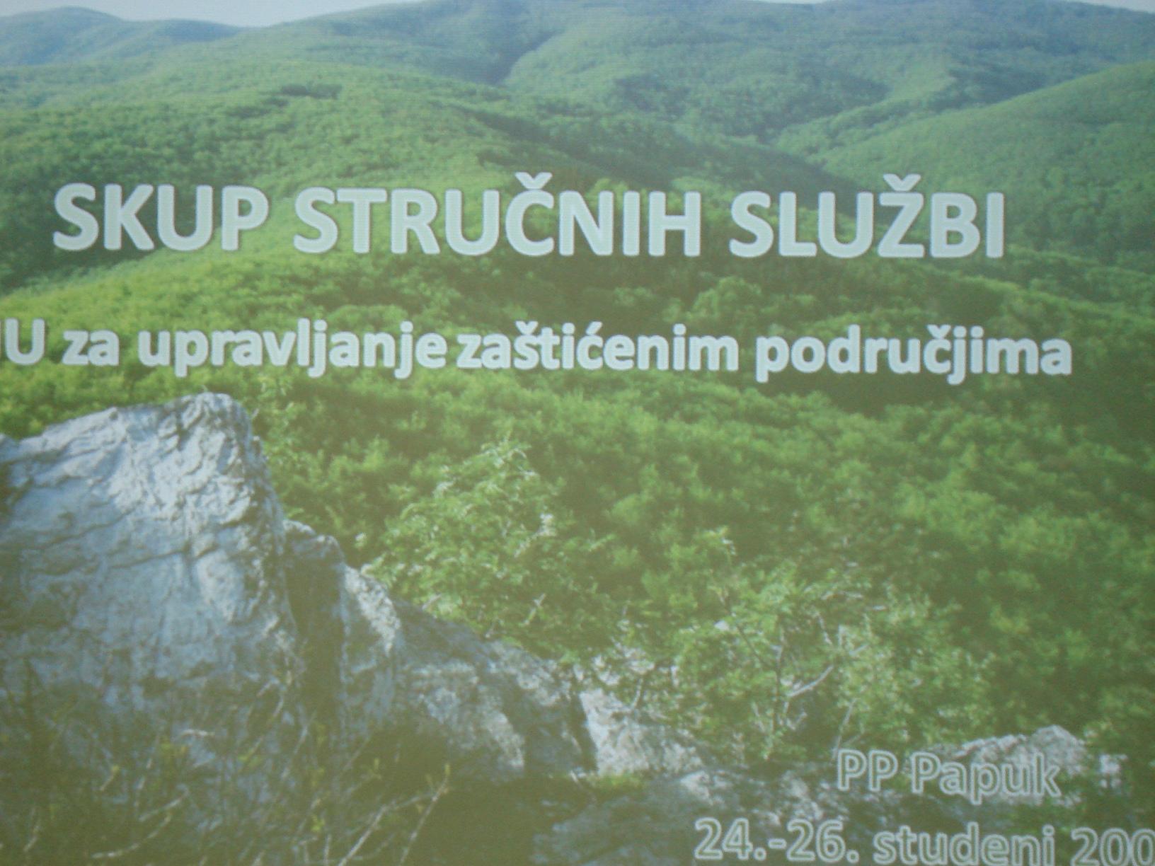skup_strunih_slubi_u_velikoj